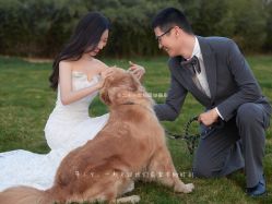 -二十一世纪婚纱摄影(省府前街店)