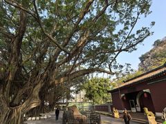 -星湖旅游景区七星岩