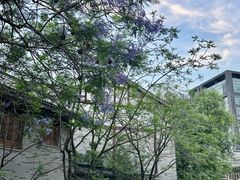 -龙潭水乡