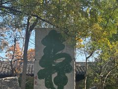 -云龙山