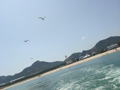 -海驴岛(荣成市)