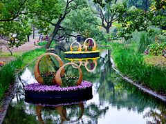 -上海共青森林公园