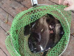 -蓝湾碧波·老字号·疍家非遗海上餐厅