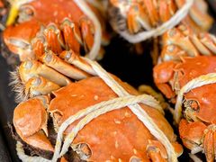 -蟹天蟹地农家菜·阳澄湖大闸蟹(浅水湾店)