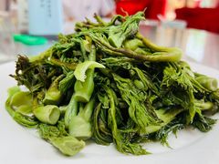 -鸿运美食府