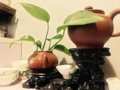 -蜗牛小馆醉乡民谣云南菜(惠新西里店)