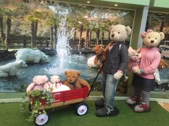 -济州岛泰迪熊博物馆