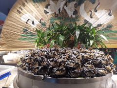 -五月罗马海鲜自助餐厅(陆家嘴店)