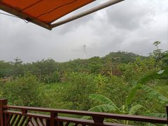 -泉州海丝野生动物世界