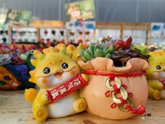 -北戴河集发农业梦想王国