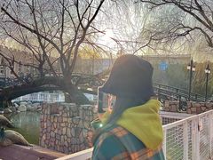 -J Create城市露营咖啡·简餐·宠物(上海动物园店)