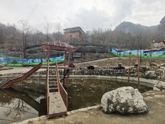 -栾川竹海野生动物园