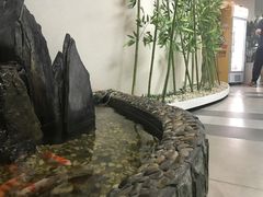 -樱花国际日语(徐家汇中心)