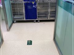 -中农大我爱我爱动物医院(甜水园店)