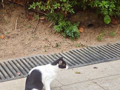 -九龙公园
