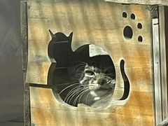 -青藏高原野生动物园