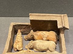 -广西壮族自治区博物馆