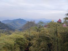 -莫干山风景区