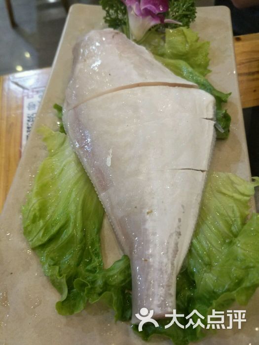 大耗兒魚