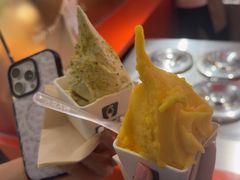 -野人先生现做冰淇淋(北京王府井东方新天地店)