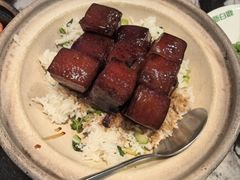 -新白鹿餐厅(百联中环店)