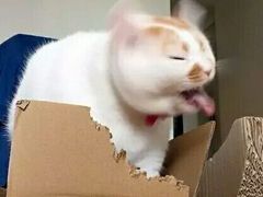 -尖沙咀茶餐厅(永泰店)