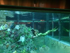 奥威斯酒店-肇庆奥威斯酒店