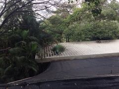 iphone_upload_pic-百鸟园