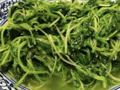 -九华山聚龙大酒店