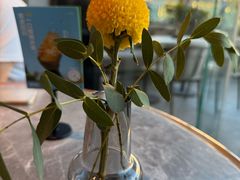 -gaga(北京新中关购物中心店)