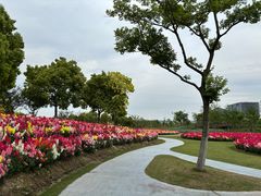 -春花秋色城市公园