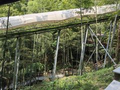 -藏龙百瀑风景区