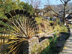 -塔川景区