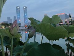 -秋水广场音乐喷泉