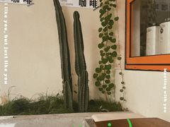 -稀物集咖啡(徽州大道店)