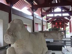 -茂陵博物馆