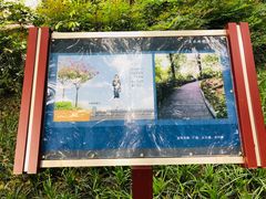 -成都市活水公园