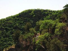 -北京鹫峰国家森林公园