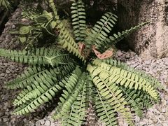 -百富源·海鲜辽菜(和平北大街店)