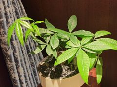 -龙宴海鲜城(经中路店)