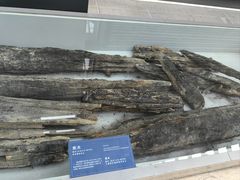 -西安大唐西市博物馆