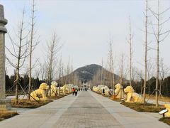-明鲁王陵