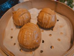 -唐猫庭院·千年陕菜(大唐不夜城店)