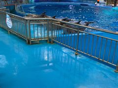 -多彩贵州城极地海洋世界