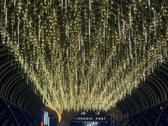 -励骏庞都广场(琴政路店)