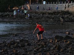 -宝安西湾红树林湿地公园