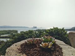-亮河湾山庄