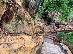 -广州市帽峰山景区