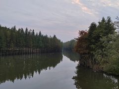 -苏州太湖国家湿地公园