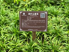 -广西壮族自治区药用植物园